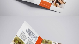 design studio | SEO & SEM Bali